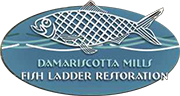 Alewives 5K and 10K race to help restore the Damariscotta Fish Ladder